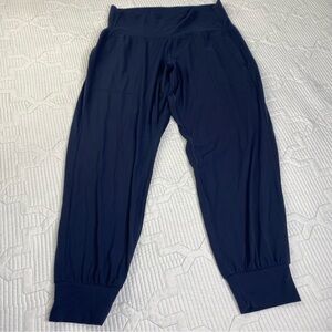 Athleta Salutation Jogger In Powervita Navy Blue Women’s 1X High Waisted